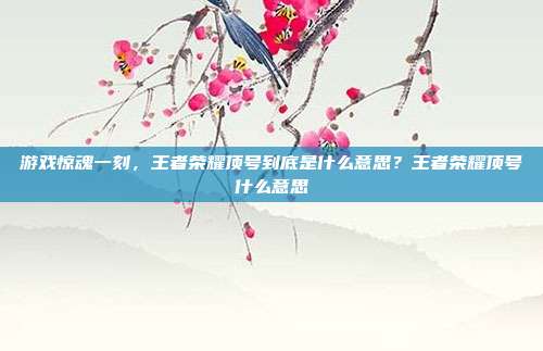 游戏惊魂一刻，王者荣耀顶号到底是什么意思？王者荣耀顶号什么意思