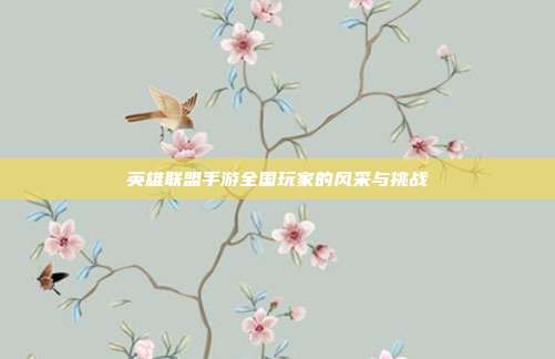 英雄联盟手游全国玩家的风采与挑战