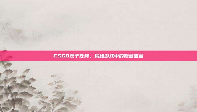 CSGO双子任务,揭秘游戏中的隐藏宝藏