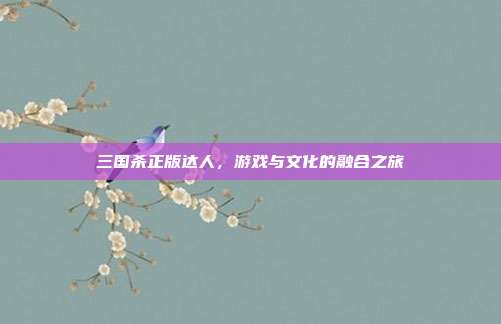 三国杀正版达人，游戏与文化的融合之旅