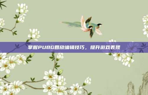 掌握PUBG回放编辑技巧,提升游戏表现