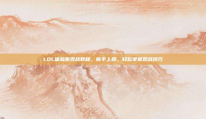 LOL体验服观战教程,新手上路,轻松掌握观战技巧