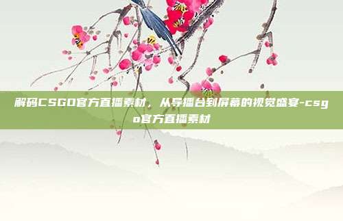 解码CSGO官方直播素材，从导播台到屏幕的视觉盛宴-csgo官方直播素材