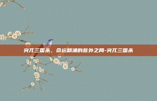 突兀三国杀,命运翻涌的意外之局-突兀三国杀