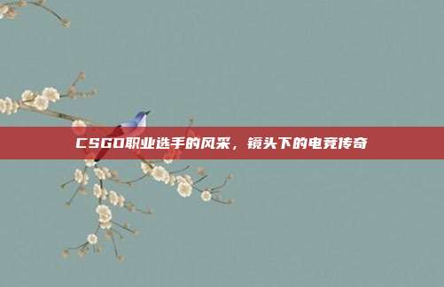 CSGO职业选手的风采,镜头下的电竞传奇