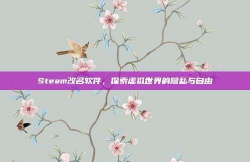 Steam改名软件,探索虚拟世界的隐私与自由