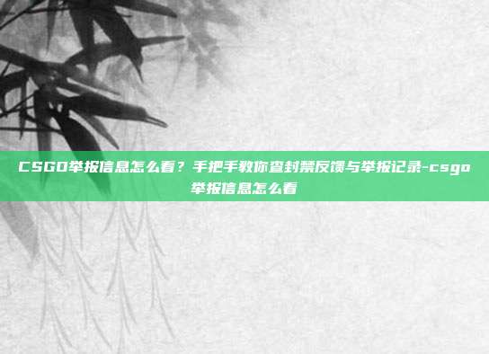 CSGO举报信息怎么看?手把手教你查封禁反馈与举报记录-csgo举报信息怎么看