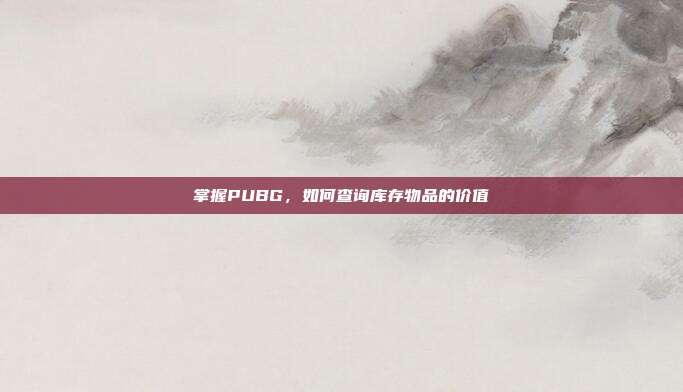 掌握PUBG，如何查询库存物品的价值
