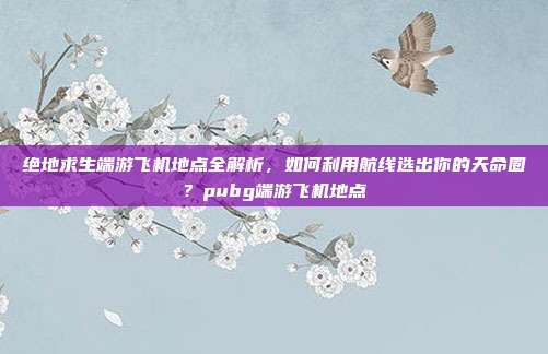 绝地求生端游飞机地点全解析，如何利用航线选出你的天命圈？pubg端游飞机地点