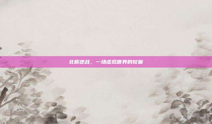 北辰逆战,一场虚拟世界的较量