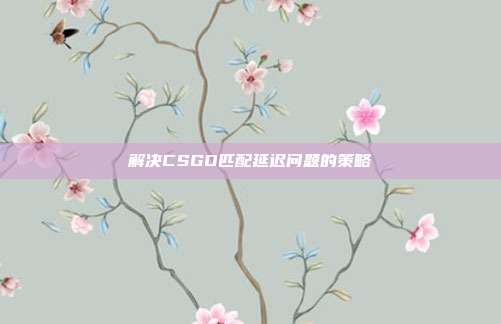解决CSGO匹配延迟问题的策略