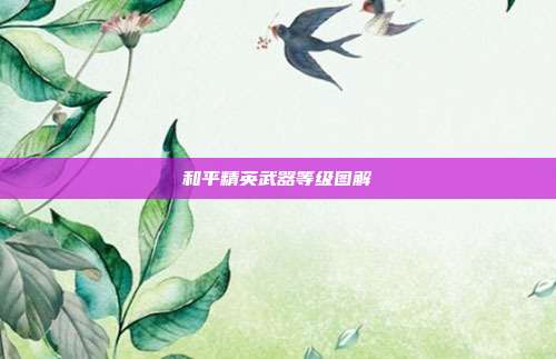 和平精英武器等级图解