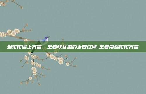 当花花遇上方言，王者峡谷里的乡音江湖-王者荣耀花花方言