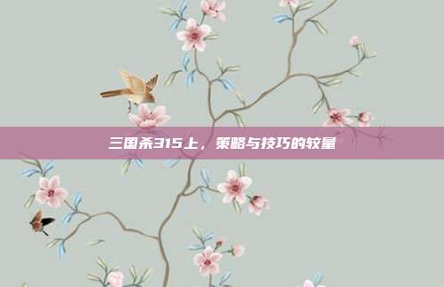 三国杀315上，策略与技巧的较量