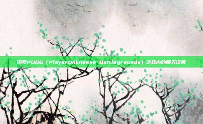 探索PUBG（PlayerUnknowns Battlegrounds）游戏内的聊天设置