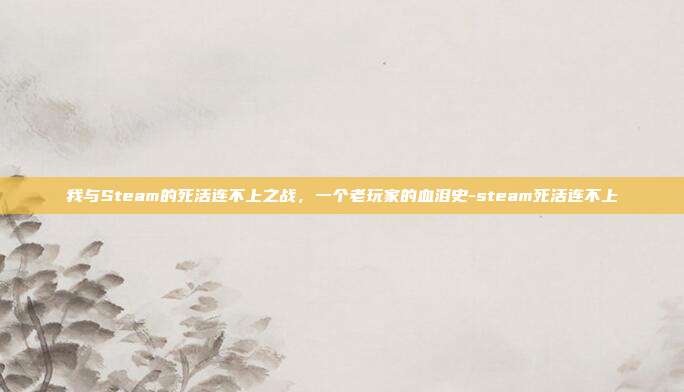 我与Steam的死活连不上之战,一个老玩家的血泪史-steam死活连不上
