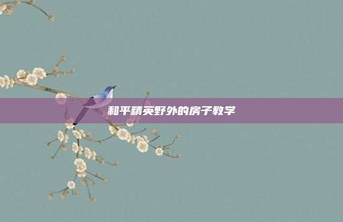 和平精英野外的房子教学
