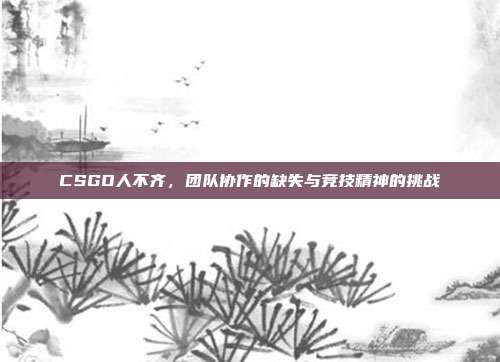CSGO人不齐,团队协作的缺失与竞技精神的挑战