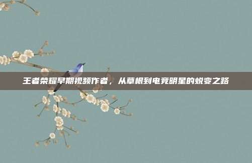王者荣耀早期视频作者,从草根到电竞明星的蜕变之路