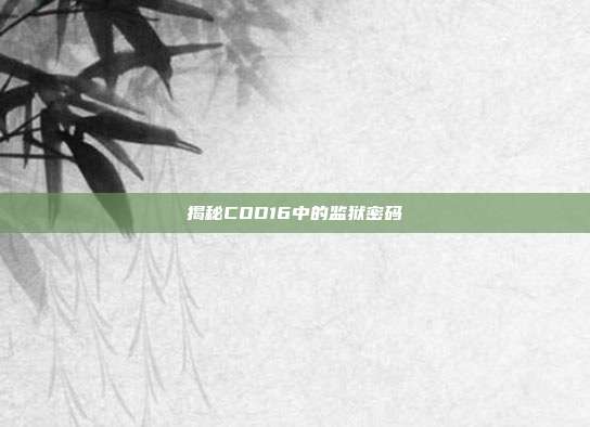 揭秘COD16中的监狱密码