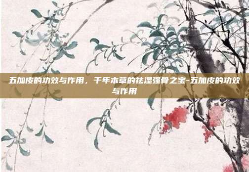 五加皮的功效与作用,千年本草的祛湿强骨之宝-五加皮的功效与作用
