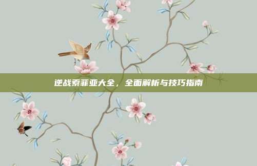 逆战索菲亚大全,全面解析与技巧指南