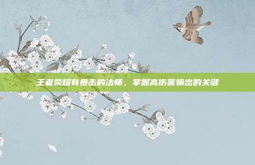 王者荣耀有暴击的法师,掌握高伤害输出的关键