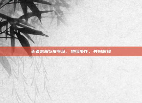 王者荣耀5排车队，团结协作，共创辉煌