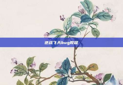 逆战飞天bug教程