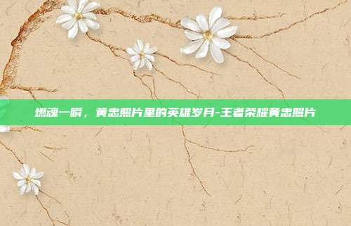 燃魂一瞬,黄忠照片里的英雄岁月-王者荣耀黄忠照片