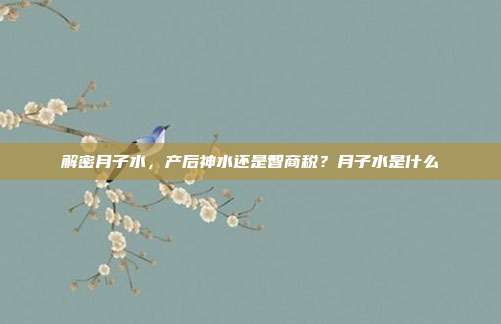 解密月子水,产后神水还是智商税?月子水是什么