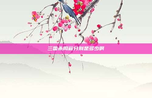 三国杀周薪分别是多少啊