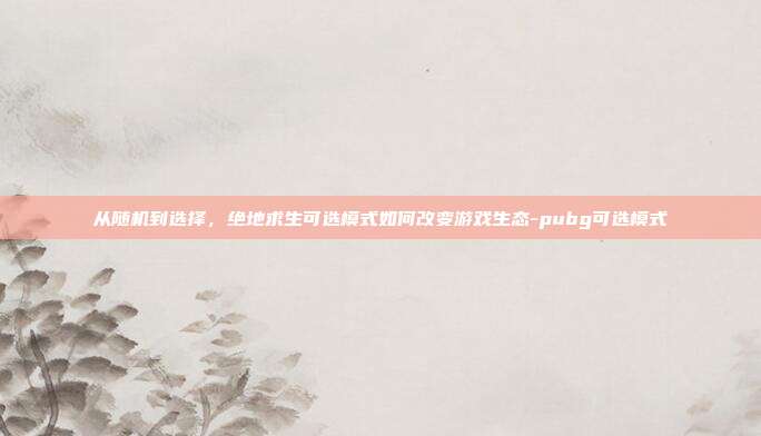 从随机到选择,绝地求生可选模式如何改变游戏生态-pubg可选模式
