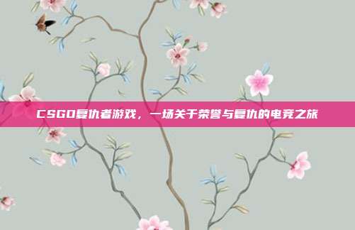 CSGO复仇者游戏,一场关于荣誉与复仇的电竞之旅