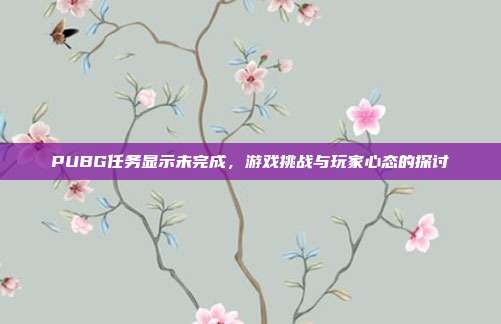 PUBG任务显示未完成,游戏挑战与玩家心态的探讨