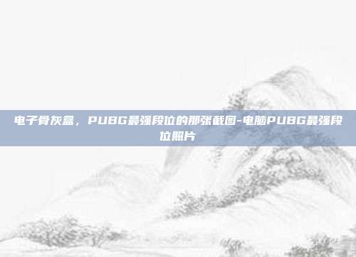 电子骨灰盒，PUBG最强段位的那张截图-电脑PUBG最强段位照片