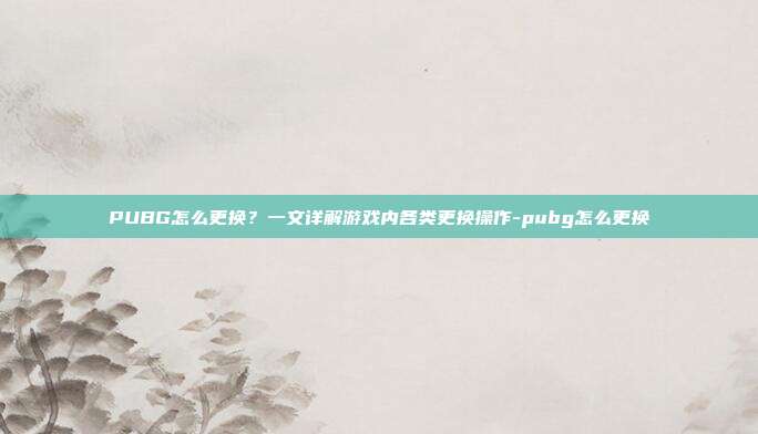 PUBG怎么更换?一文详解游戏内各类更换操作-pubg怎么更换