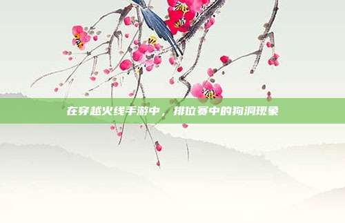 在穿越火线手游中,排位赛中的狗洞现象