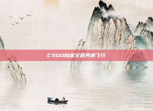 CSGO自定义道具房飞行