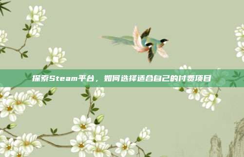 探索Steam平台,如何选择适合自己的付费项目