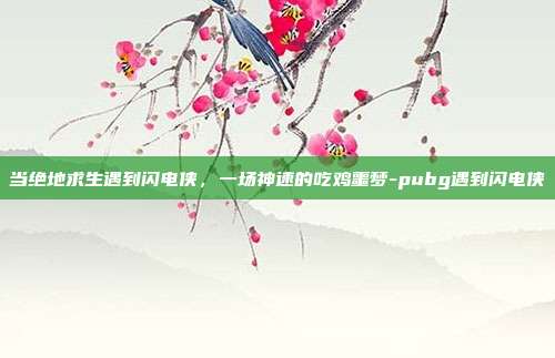 当绝地求生遇到闪电侠,一场神速的吃鸡噩梦-pubg遇到闪电侠