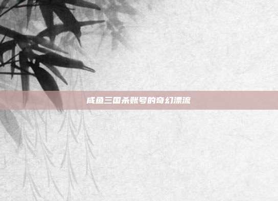 咸鱼三国杀账号的奇幻漂流