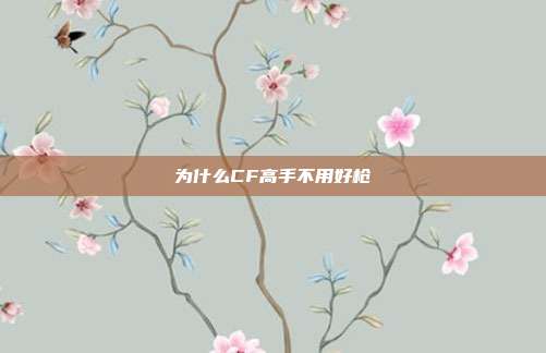 为什么CF高手不用好枪
