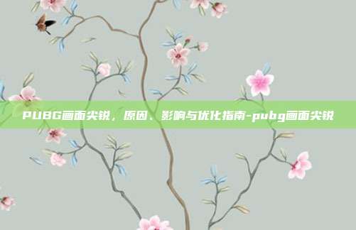 PUBG画面尖锐,原因、影响与优化指南-pubg画面尖锐
