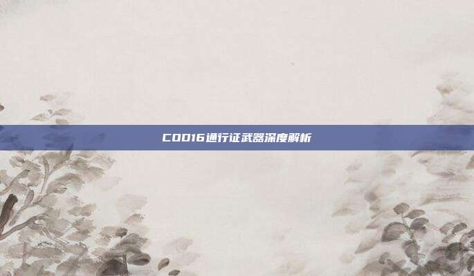 COD16通行证武器深度解析