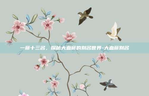 一藤十三名,探秘大血藤的别名世界-大血藤别名