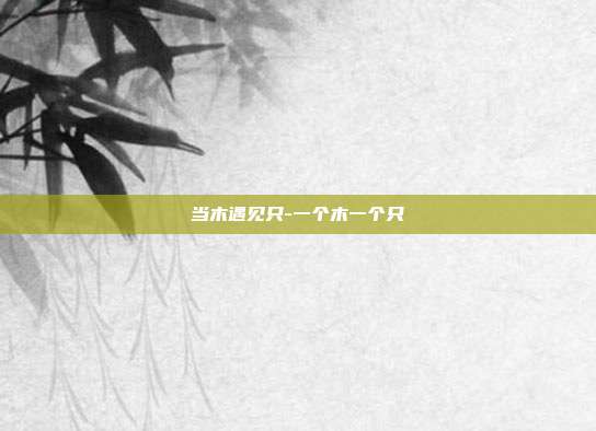 当木遇见只-一个木一个只