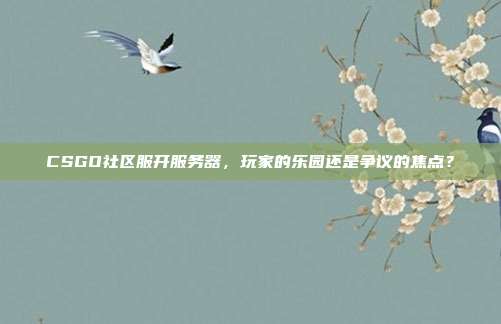 CSGO社区服开服务器,玩家的乐园还是争议的焦点?