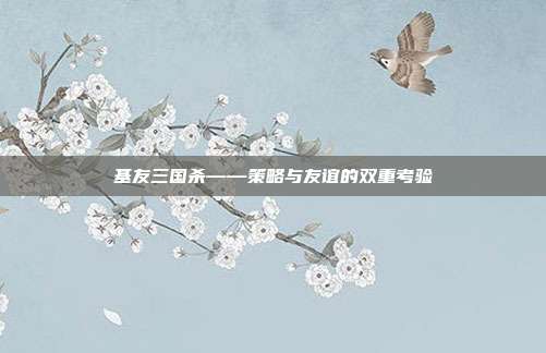基友三国杀——策略与友谊的双重考验