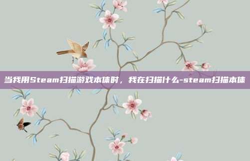 当我用Steam扫描游戏本体时，我在扫描什么-steam扫描本体